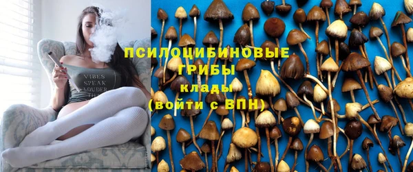ECSTASY Алзамай