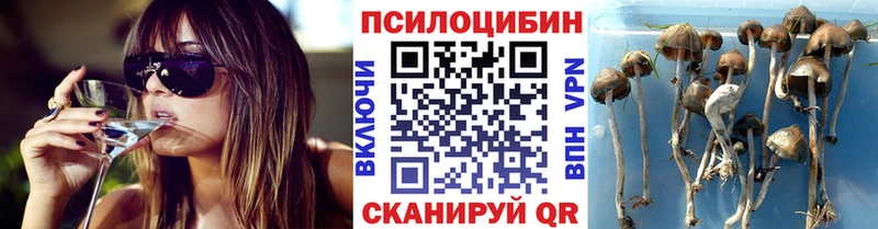 купить закладку  Нижний Ломов  Галлюциногенные грибы MAGIC MUSHROOMS 